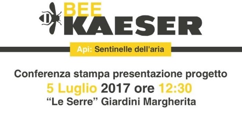 Api: Sentinelle dell’aria