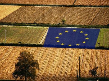 Non tagliare le risorse alla politica di coesione e alla Politica Agricola Comune